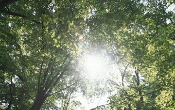河崎クリニック