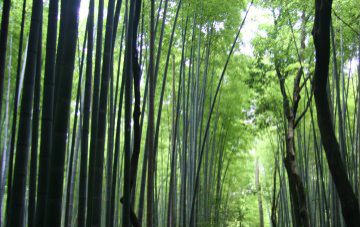 イイダ眼科医院